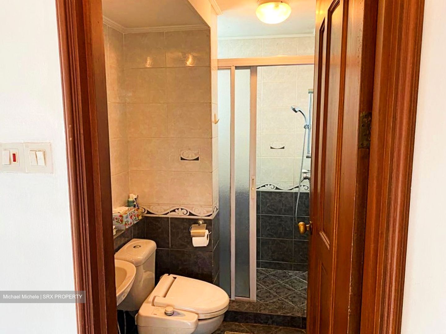 Spring Grove (D10), Condominium #330221491